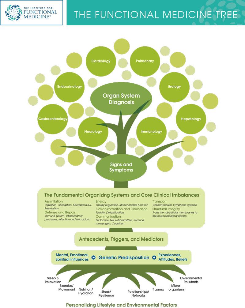 Functional-Medicine-Tree